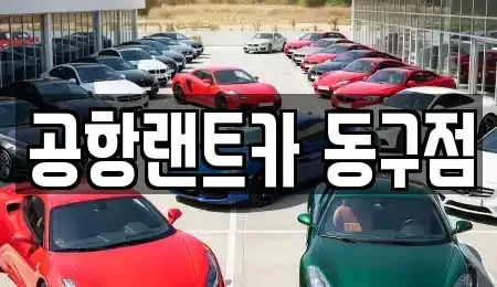대구 동구 신평동 렌트카 전문 공항랜트카 동구점