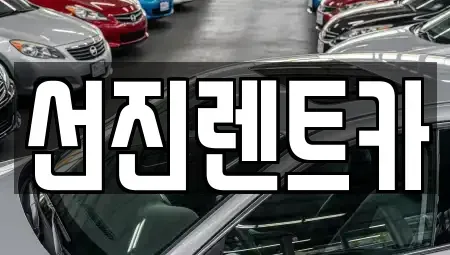 대구 동구 신평동 렌트카 전문 선진렌트카