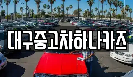 대구 동구 신평동 중고차 전문 대구중고차하나카즈