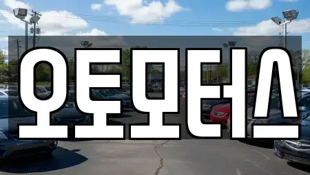 대구 동구 신평동 중고차 전문 오토모터스