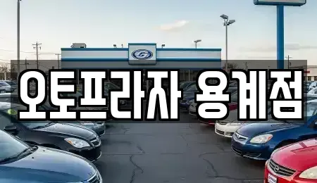 대구 동구 신평동 중고차 전문 오토프라자 용계점