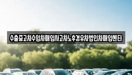 대구 동구 신평동 중고차매입 전문 수출중고차수입차매입사고차노후경유차법인차매입센타