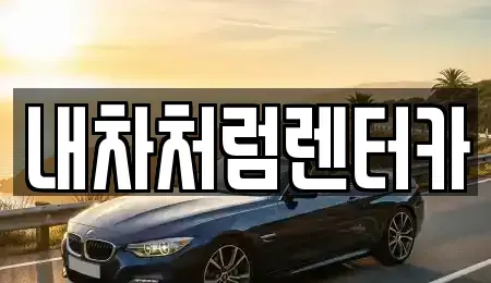 대구 북구 복현동 렌트카 전문 내차처럼렌터카
