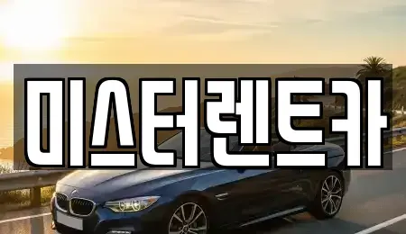 대구 북구 복현동 렌트카 전문 미스터렌트카