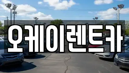 대구 수성구 두산동 렌트카 전문 오케이렌트카