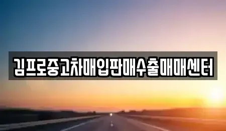 대구 수성구 두산동 중고차 전문 김프로중고차매입판매수출매매센터