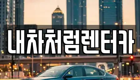 대구광역시 동구 검사동 렌트카 전문 내차처럼렌터카