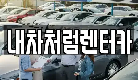 대구광역시 동구 동호동 렌트카 전문 내차처럼렌터카