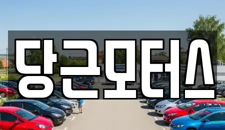 대구광역시 동구 동호동 중고차 전문 당근모터스