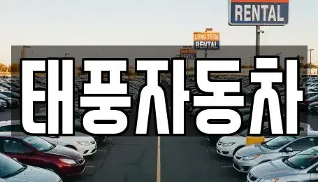 대구광역시 동구 동호동 중고차 전문 태풍자동차