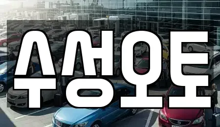 대구광역시 동구 동호동 중고차매입 전문 수성오토