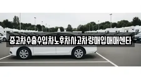 대구광역시 동구 동호동 중고차매입 전문 중고차수출수입차노후차사고차량매입매매센타
