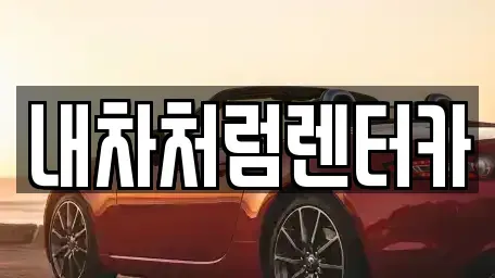 대구광역시 북구 조야동 렌트카 전문 내차처럼렌터카