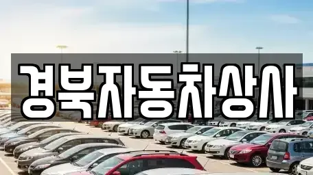 대구광역시 북구 조야동 장기렌트카,중고차,렌트카,단기렌트카,중고차매입,중고차매매