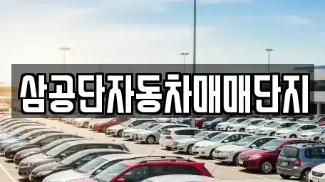 대구광역시 북구 조야동 중고차 전문 삼공단자동차매매단지