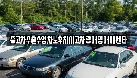 대구광역시 북구 조야동 중고차매입 전문 중고차수출수입차노후차사고차량매입매매센타