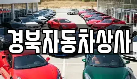 대구광역시 수성구 고모동 중고차 전문 경북자동차상사