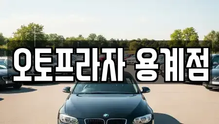 대구광역시 수성구 고모동 중고차 전문 오토프라자 용계점