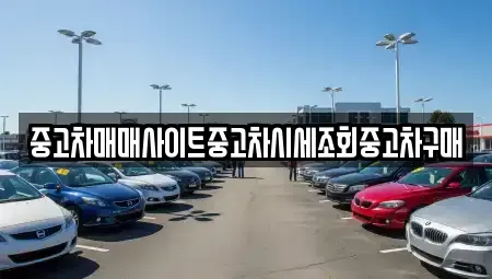 대구광역시 수성구 고모동 중고차 전문 중고차매매사이트중고차시세조회중고차구매