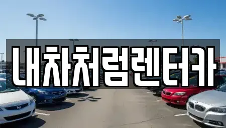 대구광역시 중구 남산동 렌트카 전문 내차처럼렌터카