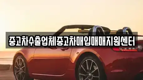 대구광역시 중구 남산동 중고차매매 전문 중고차수출업체중고차매입매매지원센터