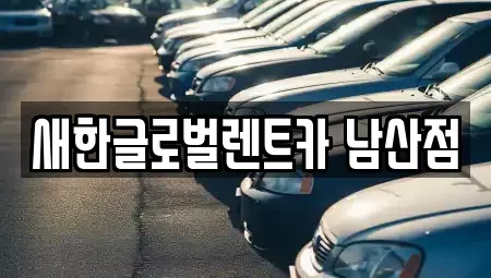 대구광역시 중구 남성로 단기렌트카,중고차매입,중고차매매,중고차,렌트카,장기렌트카