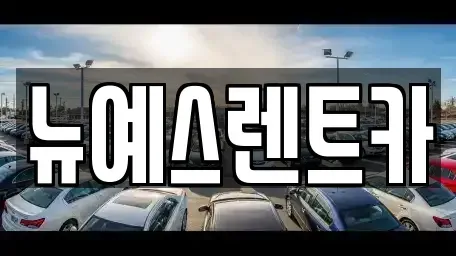 대구광역시 중구 남성로 렌트카 전문 뉴예스렌트카