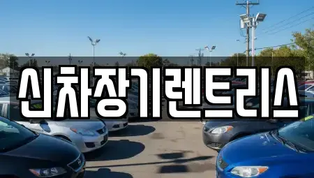 대구광역시 중구 남성로 렌트카 전문 신차장기렌트리스