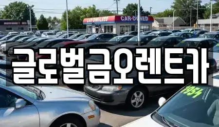 대구광역시 중구 삼덕동2가 렌트카 전문 글로벌금오렌트카
