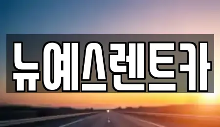 대구광역시 중구 삼덕동2가 렌트카 전문 뉴예스렌트카
