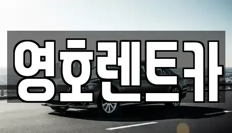대구광역시 중구 삼덕동2가 렌트카 전문 영호렌트카
