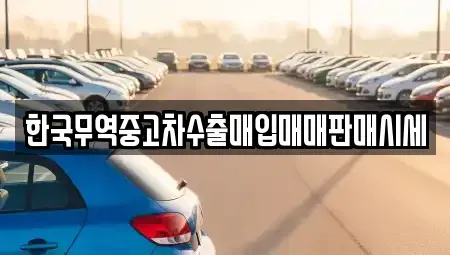 대구광역시 중구 삼덕동2가 중고차매매 전문 한국무역중고차수출매입매매판매시세