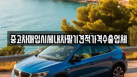대구광역시 중구 삼덕동2가 중고차매입 전문 중고차매입시세내차팔기견적가격수출업체
