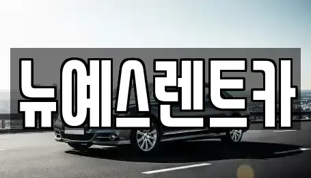 대구광역시 중구 태평로1가 렌트카,단기렌트카,장기렌트카,중고차,중고차매매,중고차매입