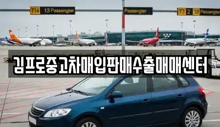 대구광역시 중구 태평로1가 중고차매입 전문 김프로중고차매입판매수출매매센터