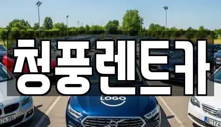 대전 대덕구 갈전동 렌트카 전문 청풍렌트카