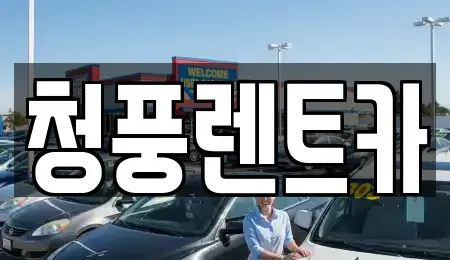 대전 대덕구 부수동 렌트카 전문 청풍렌트카