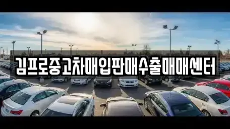 대전 대덕구 송촌동 중고차매매 전문 김프로중고차매입판매수출매매센터