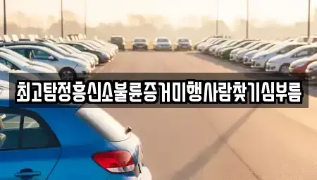 대전 대덕구 송촌동 중고차매입 전문 최고탐정흥신소불륜증거미행사람찾기심부름