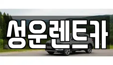 대전 서구 도안동 렌트카 전문 성운렌트카