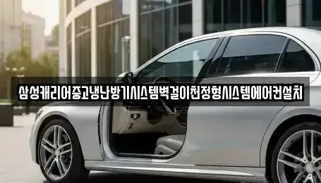 대전 서구 도안동 중고차매입 전문 삼성캐리어중고냉난방기시스템벽걸이천정형시스템에어컨설치