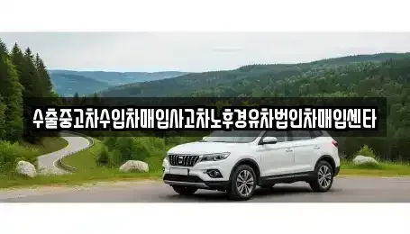 대전 서구 도안동 중고차매입 전문 수출중고차수입차매입사고차노후경유차법인차매입센타