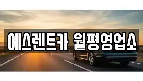 대전 서구 월평동 렌트카 전문 에스렌트카 월평영업소