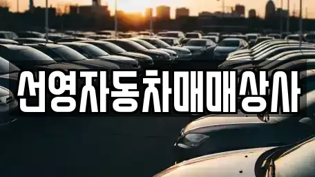 대전 서구 월평동 중고차 전문 선영자동차매매상사