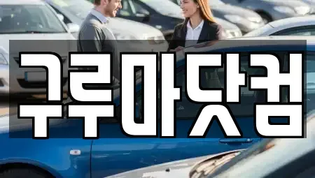 대전 유성구 하기동 장기렌트카 전문 구루마닷컴