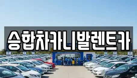 대전 중구 선화동 렌트카 전문 승합차카니발렌트카