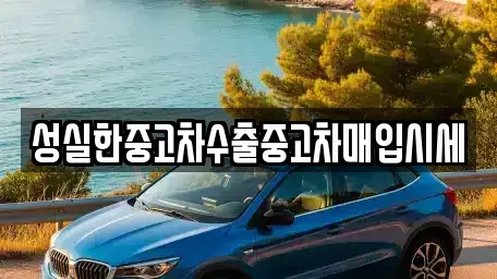 대전 중구 선화동 중고차 전문 성실한중고차수출중고차매입시세