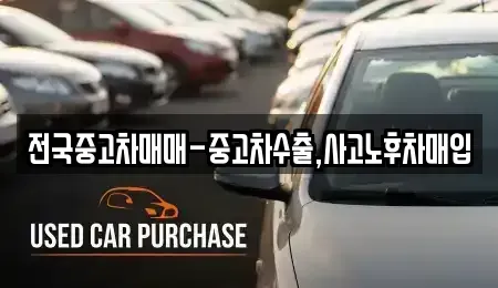 대전 중구 선화동 중고차 전문 전국중고차매매-중고차수출,사고노후차매입
