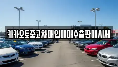 대전 중구 선화동 중고차매입 전문 카카오토중고차매입매매수출판매시세