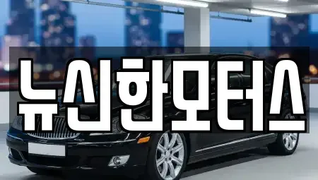 대전광역시 대덕구 목상동 중고차 전문 뉴신한모터스